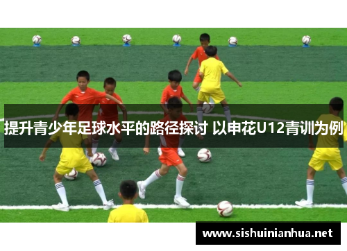 提升青少年足球水平的路径探讨 以申花U12青训为例