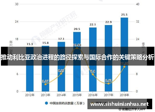 推动利比亚政治进程的路径探索与国际合作的关键策略分析