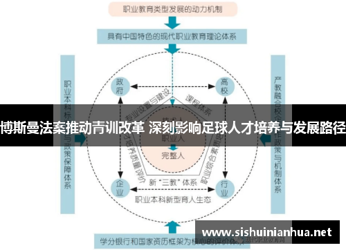 博斯曼法案推动青训改革 深刻影响足球人才培养与发展路径