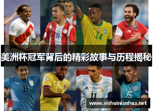 美洲杯冠军背后的精彩故事与历程揭秘