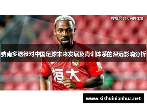 费南多退役对中国足球未来发展及青训体系的深远影响分析 费南多退役对中国足球未来发展及青训体系的深远影响分析