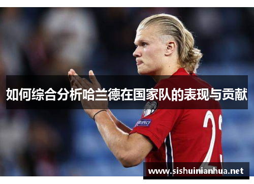 如何综合分析哈兰德在国家队的表现与贡献